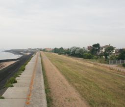 web design Canvey Island
