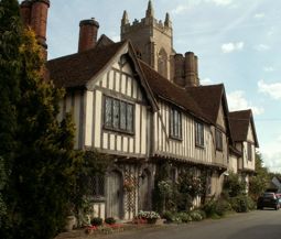 Web Design Company Nayland
