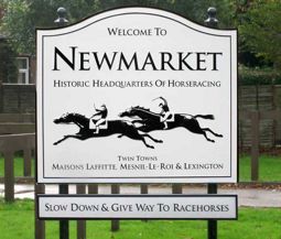 web design Newmarket